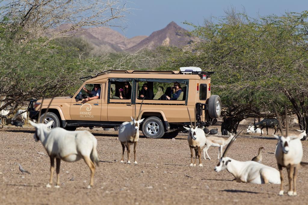 Anantara Desert Islands Resort & Spa Zahr Eksteriør bilde