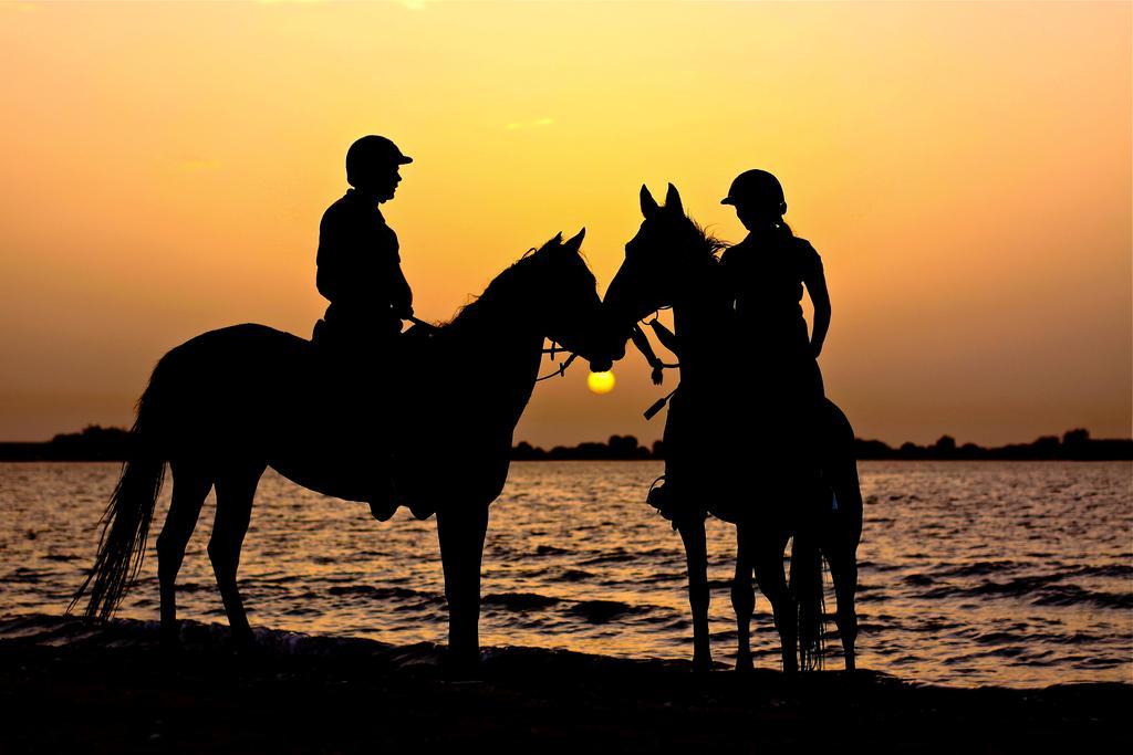 Anantara Desert Islands Resort & Spa Zahr Eksteriør bilde